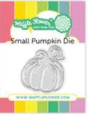 SMALL PUMPKIN