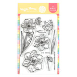 NARCISSUS DECEMBER BIRTH FLOWER