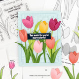 TULIP FESTIVAL (M24)