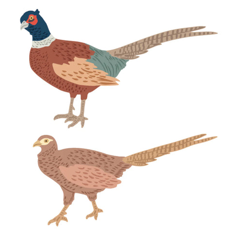 LOVELY LAYERS PHEASANT