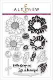 SPRING DAISY STAMP SET