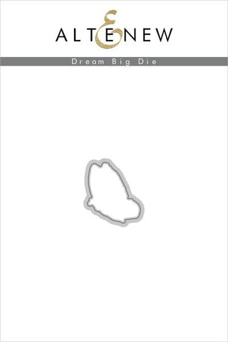 DREAM BIG