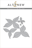 POINSETTIA 3D