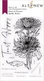 PAINT A FLOWER SPIDER MUMS OUTLUNE