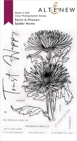 PAINT A FLOWER SPIDER MUMS OUTLUNE