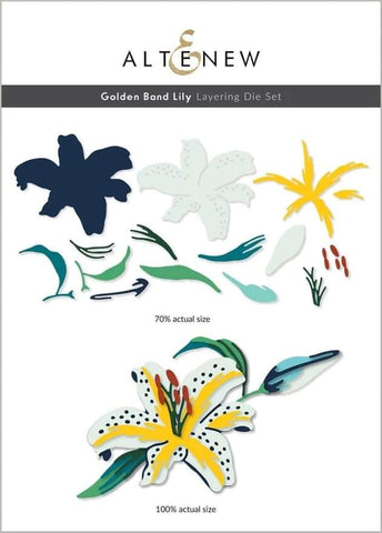 GOLDEN  BAND LILY LAYERING