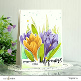 BUILD A FLOWER CROCUS