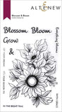 BLOSSOM & BLOOM