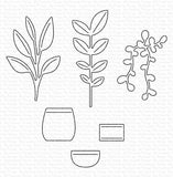 POTS AND PLANTS